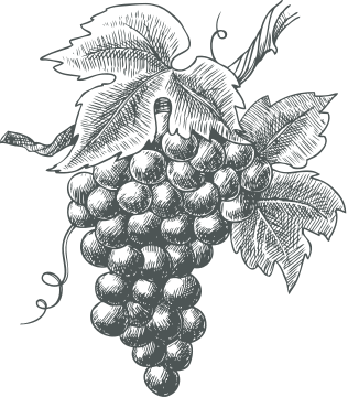 grappolo d'uva bianco e nero