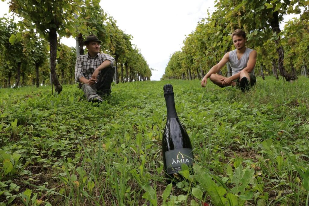 Gemei Zucchetto in vigna con spumante Amia