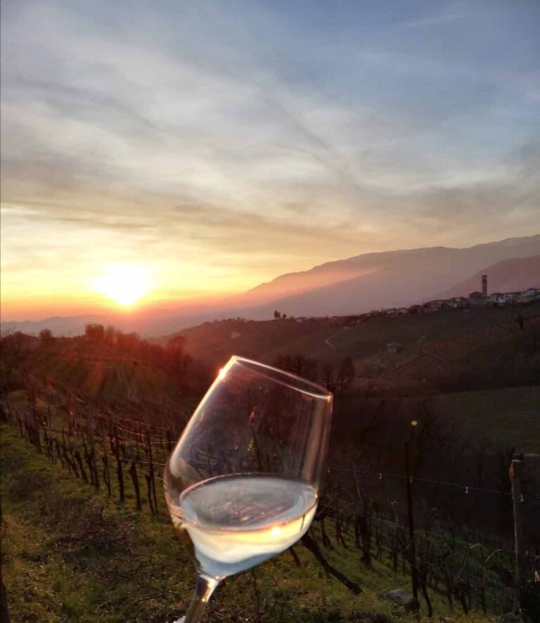 panorama Valdobbiadene cantina Gemei con calice vino