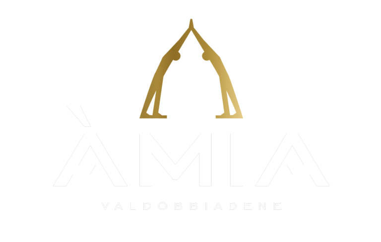 Logo Àmia